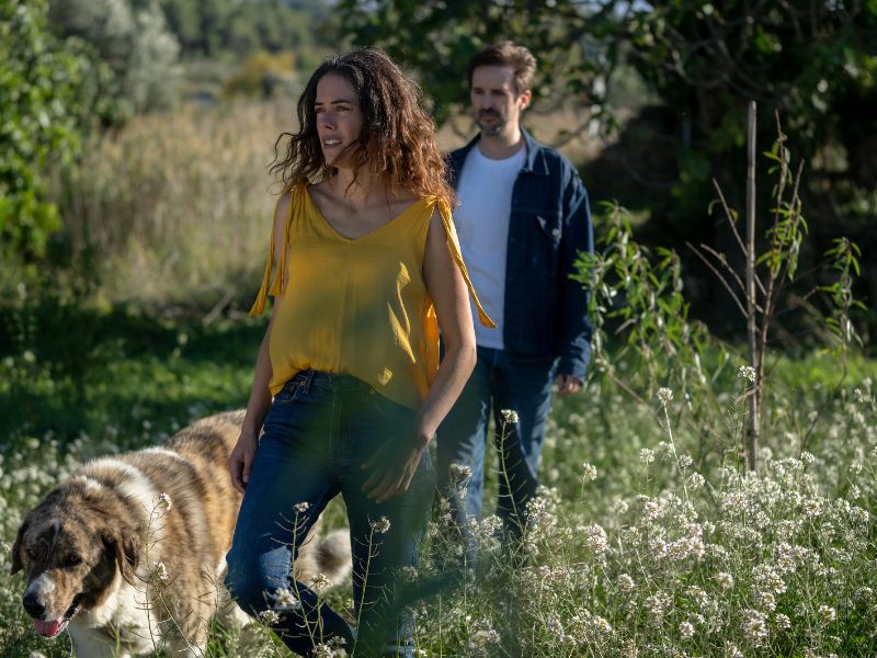 Los destellos – Cicle Gaudí de cinema