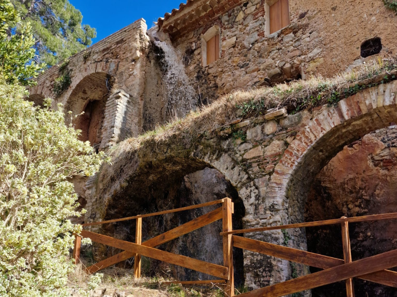 Actualment esteu veient L’aigua torna a baixar pel Mas de Forès