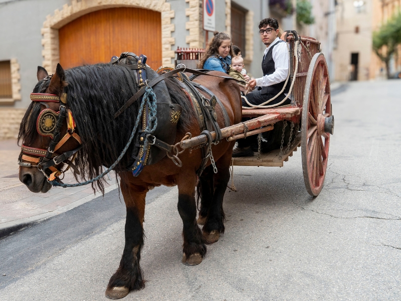 Passejades amb carro pels infants amb el carro del recapte